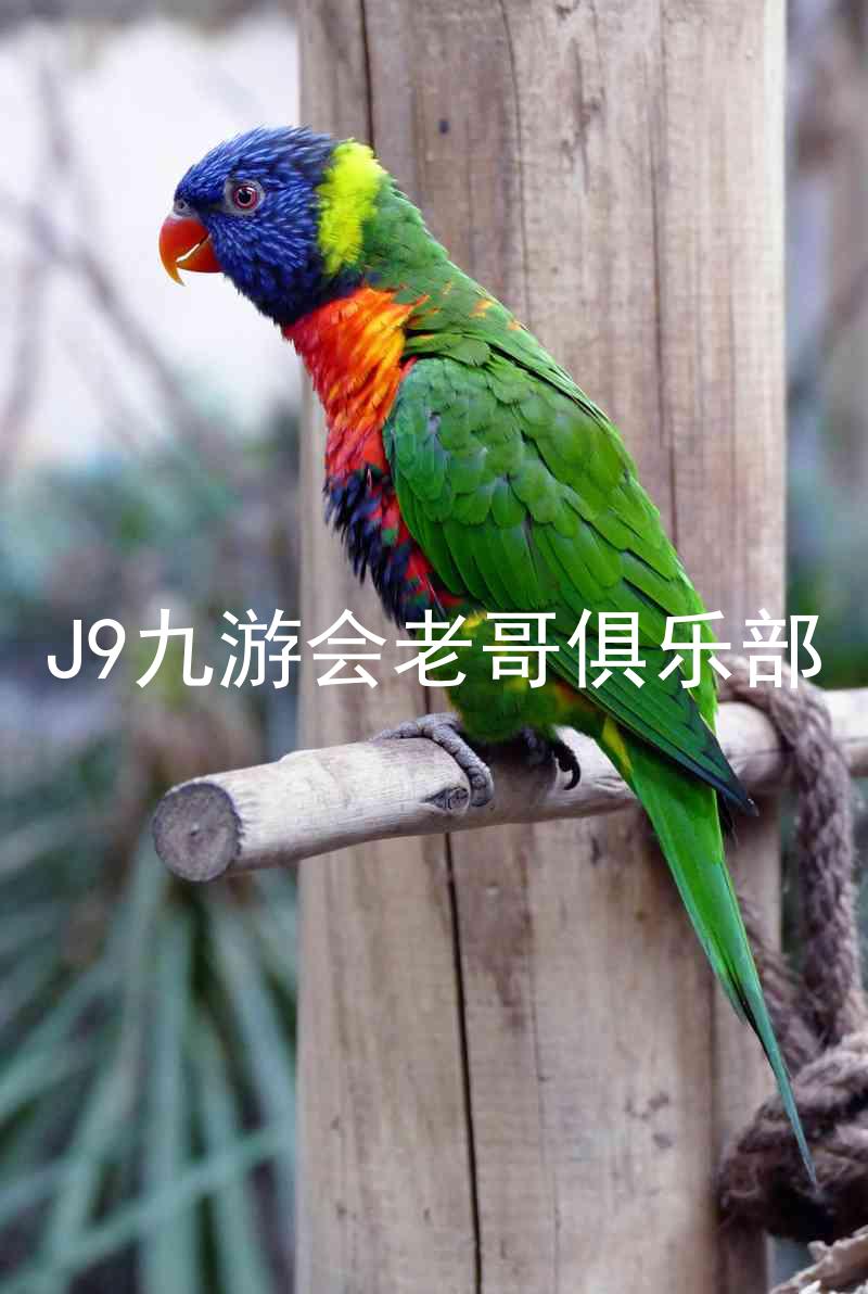 J9九游会老哥俱乐部