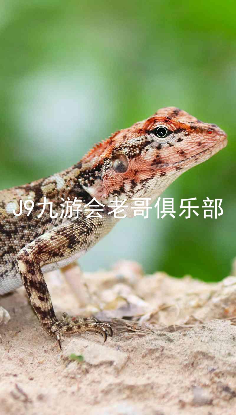 J9九游会老哥俱乐部