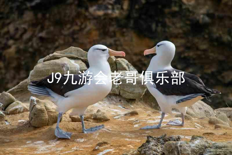 J9九游会老哥俱乐部